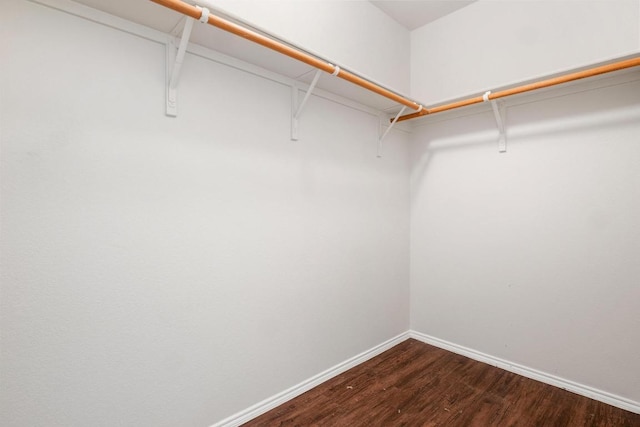 109 Onyx Lake Dr, Kyle, TX 78640 - walk in closet with dark wood-style flooring