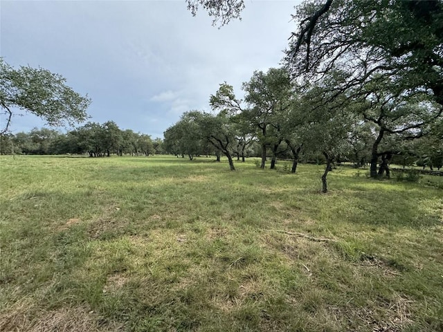 109 Estancia Way, Georgetown, TX 78628 - photo 5