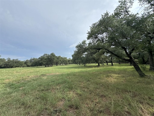 109 Estancia Way, Georgetown, TX 78628 - photo 6
