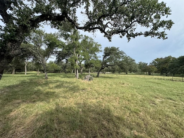 109 Estancia Way, Georgetown, TX 78628 - photo 7