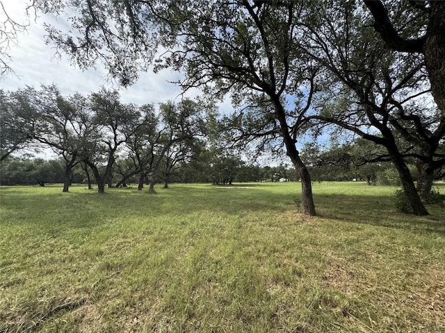 109 Estancia Way, Georgetown, TX 78628 - photo 1