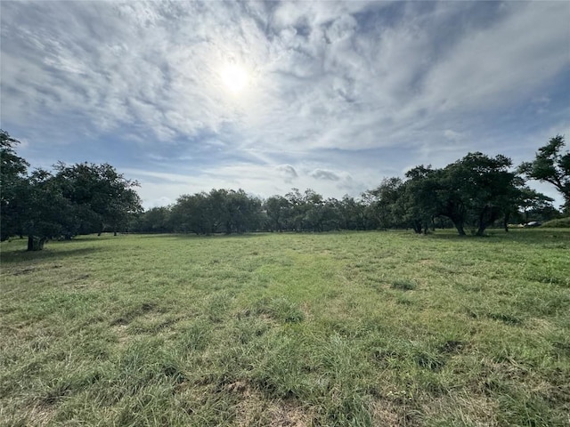 109 Estancia Way, Georgetown, TX 78628 - photo 11