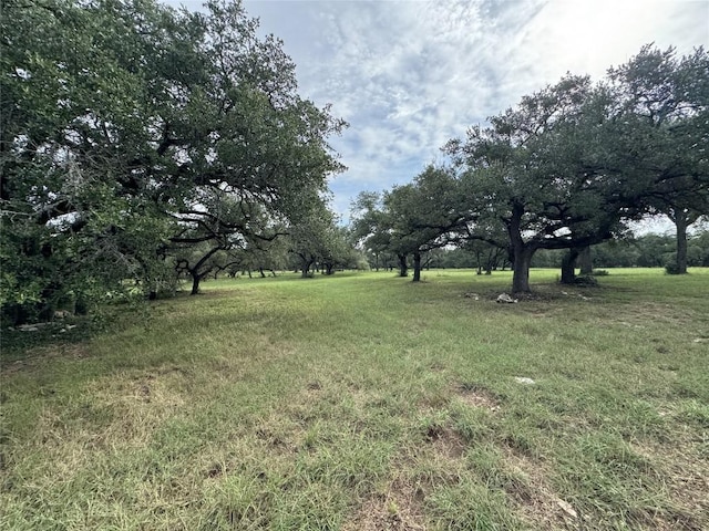 109 Estancia Way, Georgetown, TX 78628 - photo 14