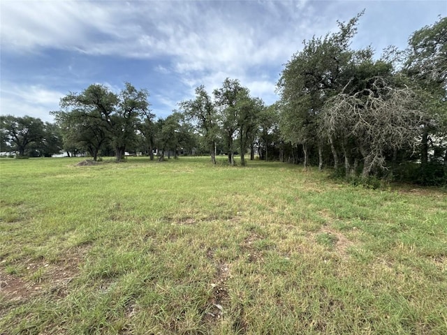 109 Estancia Way, Georgetown, TX 78628 - photo 15