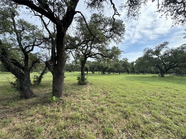 109 Estancia Way, Georgetown, TX 78628 - photo 19