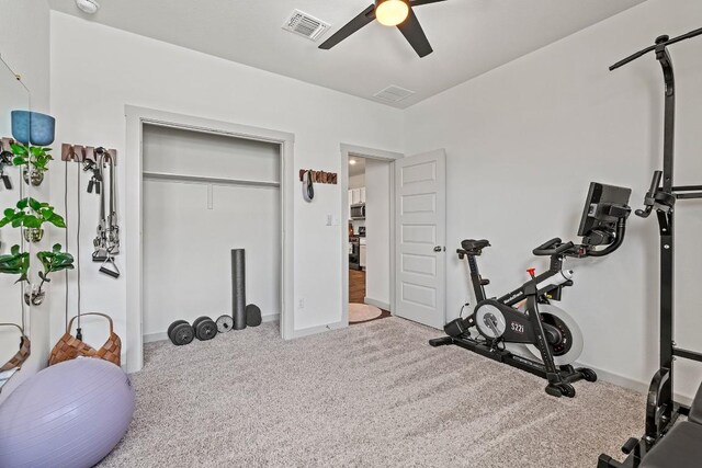 112 Wichita River Rd, Hutto, TX 78634 - exercise area featuring ceiling fan and carpet floors