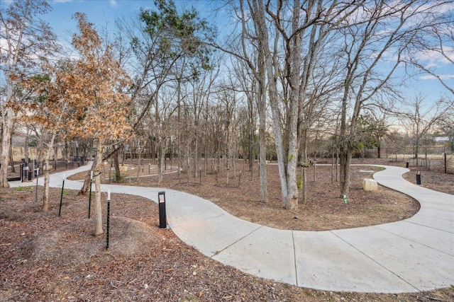 4801 Springdale Rd Unit 2006, Austin, TX 78723