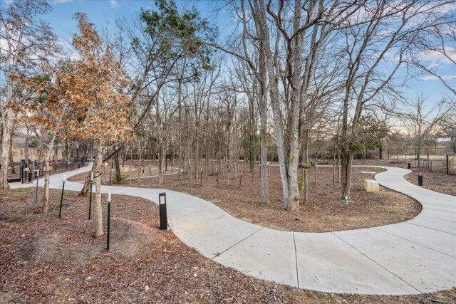 4801 Springdale Rd Unit 2006, Austin, TX 78723 - photo 26