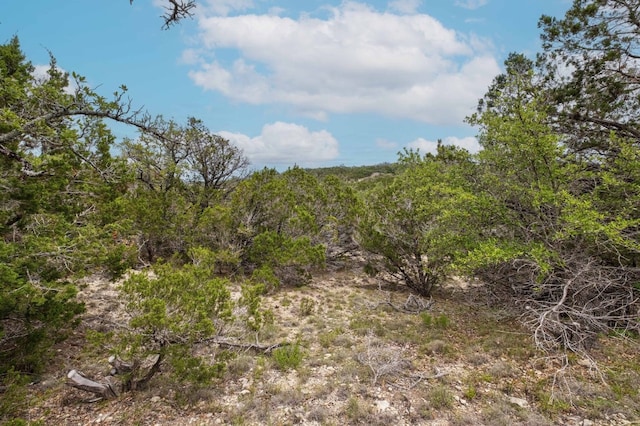 0 Shelton Ranch Rd, Dripping Springs, TX 78620 - photo 16