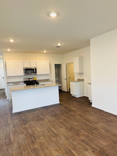425 Frogmore Loop, Uhland, TX 78640 - photo 14