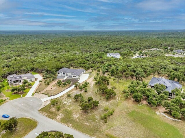 210 Campolina Ln, Driftwood, TX 78619 - photo 4