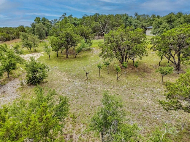 210 Campolina Ln, Driftwood, TX 78619 - photo 9