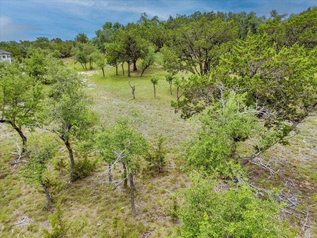 210 Campolina Ln, Driftwood, TX 78619 - photo 10