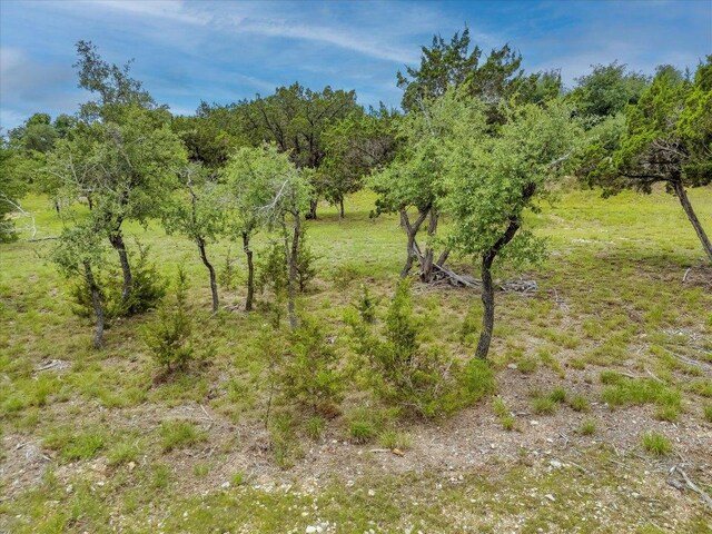 210 Campolina Ln, Driftwood, TX 78619 - photo 11