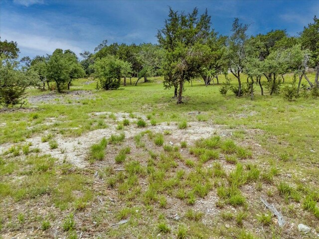 210 Campolina Ln, Driftwood, TX 78619 - photo 12