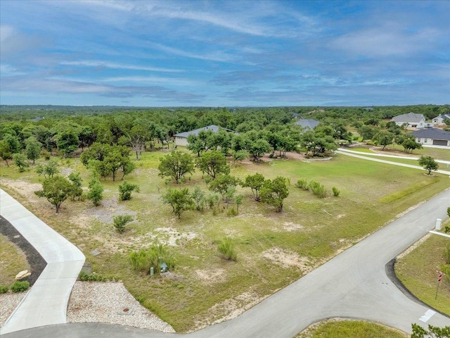 210 Campolina Ln, Driftwood, TX 78619 - photo 2