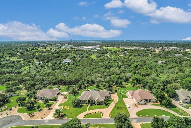 124 Walnut Tree Loop, Georgetown, TX 78633 - photo 38