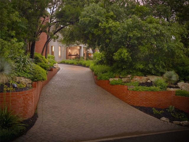 1 Ehrlich Rd, Austin, TX 78746