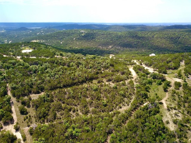 11709 Mountain Top Cir, Jonestown, TX 78645