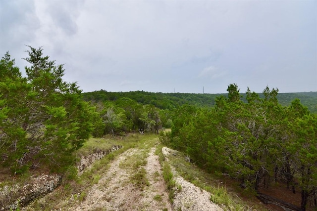 11709 Mountain Top Cir, Jonestown, TX 78645