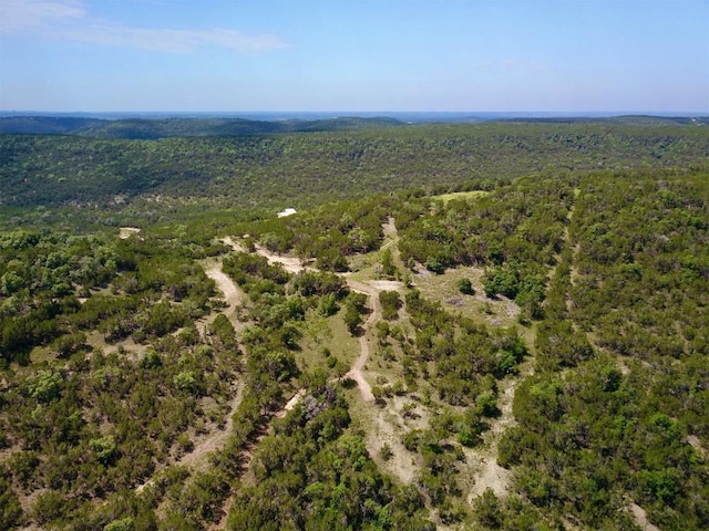 11709 Mountain Top Cir, Jonestown, TX 78645