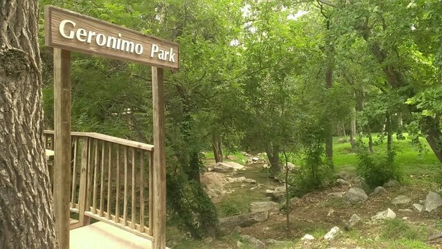 14703 Great Eagle Trl, Austin, TX 78734