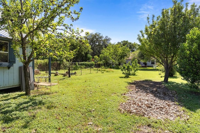 803 N Myrtle St, Georgetown, TX 78626 - view of yard