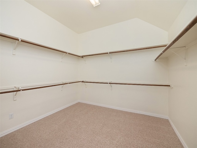 457 Monahans Dr, Georgetown, TX 78628 - walk in closet featuring light carpet
