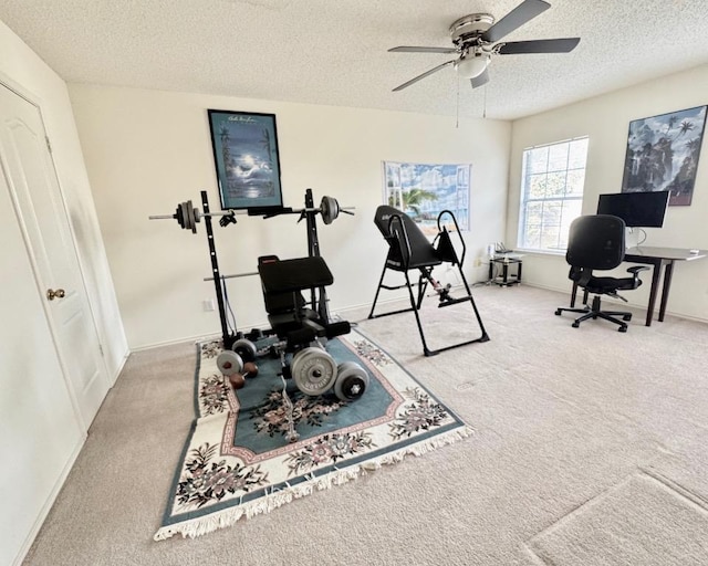 15304 Iola Cv, Austin, TX 78717 - workout area with a textured ceiling, carpet flooring, and a ceiling fan