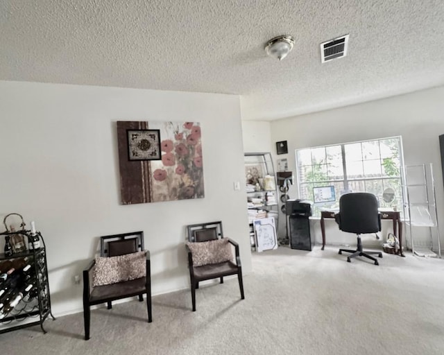 15304 Iola Cv, Austin, TX 78717 - office area with carpet floors and a textured ceiling