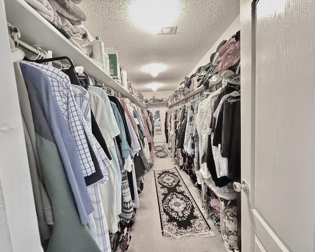 15304 Iola Cv, Austin, TX 78717 - walk in closet with carpet