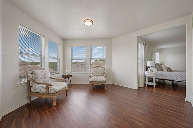 808 Lonesome Lilly Way, Pflugerville, TX 78660 - sitting room with baseboards and wood finished floors