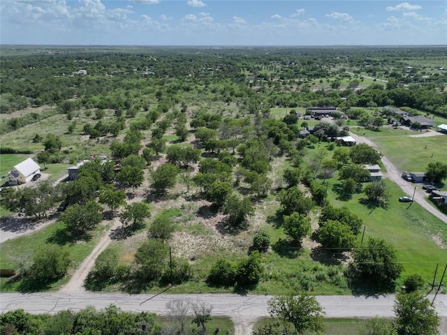 983 Longhollow Rd, Dale, TX 78616 - photo 8