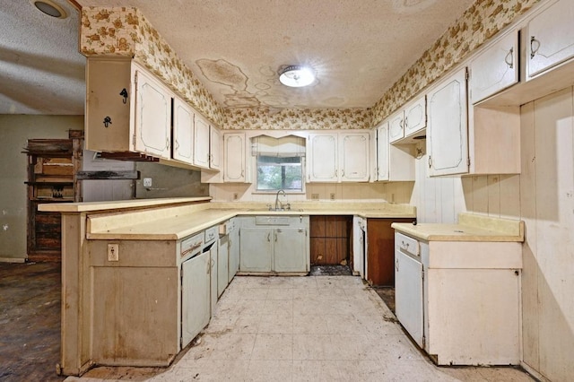 10410 Margra Ln, Austin, TX 78748 - kitchen featuring a textured ceiling, a peninsula, and light countertops