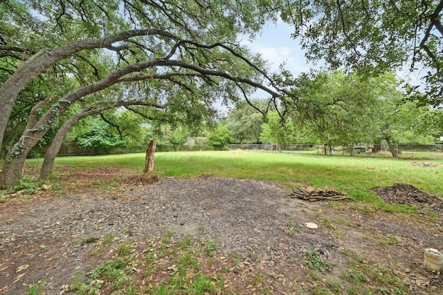 10410 Margra Ln, Austin, TX 78748 - view of yard