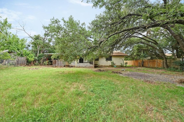 10410 Margra Ln, Austin, TX 78748 - view of yard