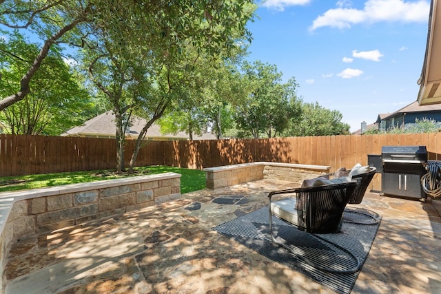 10808 Redmond Rd, Austin, TX 78739 - fenced backyard with a patio area and area for grilling