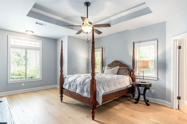 3 Stillmeadow Ct, The Hills, TX 78738 - bedroom featuring a raised ceiling, light wood-type flooring, and multiple windows