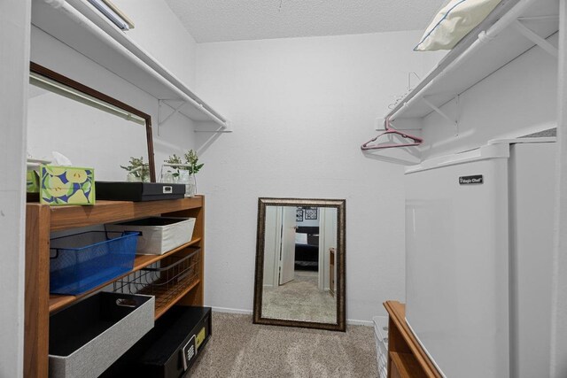 1111 Fairlawn Cv, Round Rock, TX 78664 - walk in closet with carpet flooring