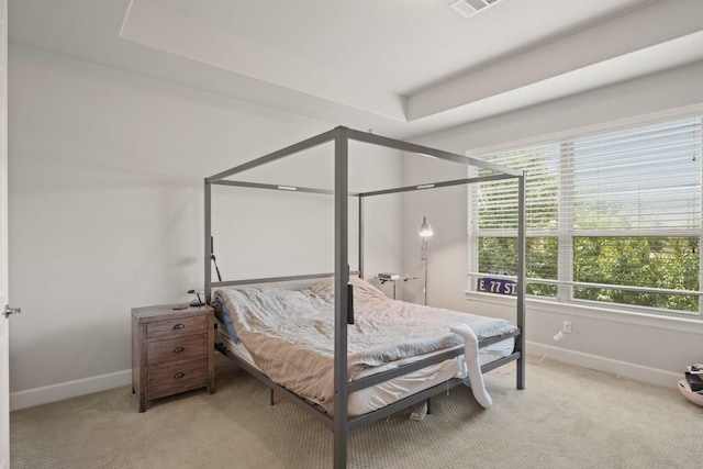 15617 Cinca Terra Dr, Bee Cave, TX 78738 - carpeted bedroom featuring baseboards and a raised ceiling