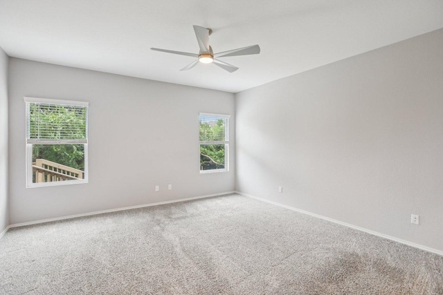 1524 Brueggerhoff Rd, Leander, TX 78641 - photo 12