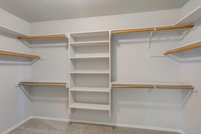 15737 Cadoz Dr, Austin, TX 78728 - walk in closet featuring carpet flooring