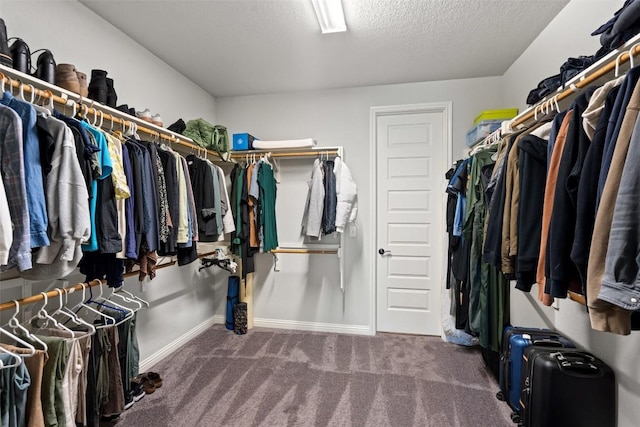 16633 Chevalin St, Austin, TX 78738