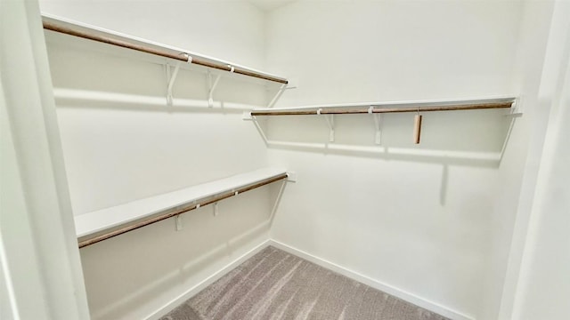 6800 Menchaca Rd Unit 31, Austin, TX 78745 - spacious closet featuring light carpet