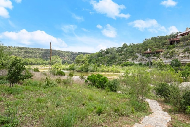 650 Bluffview Dr, Wimberley, TX 78676 - photo 39