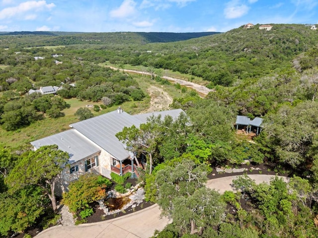 650 Bluffview Dr, Wimberley, TX 78676 - photo 3