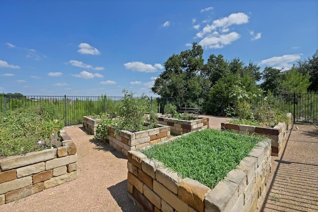 321 Penna Ln, Georgetown, TX 78628 - photo 32