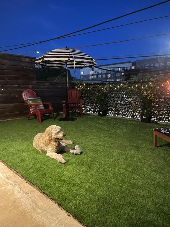 4361 S Congress Ave Unit 126, Austin, TX 78745 - view of yard