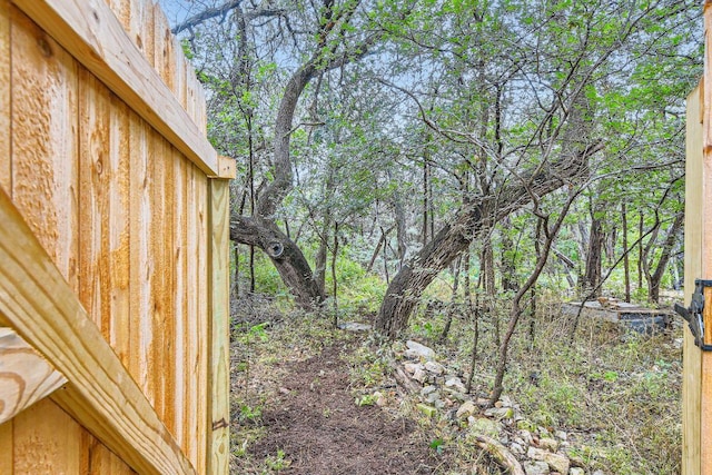 7702 Kincheon Ct, Austin, TX 78749 - view of yard