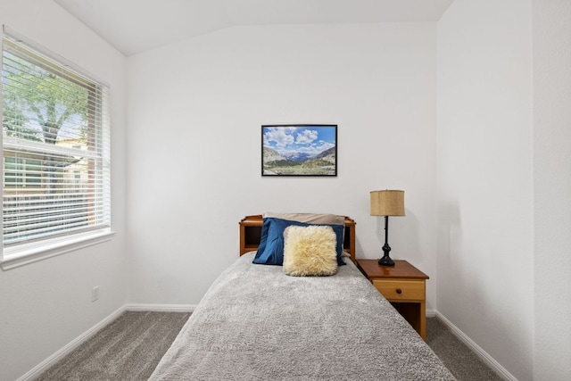 240 Fort Mabry Loop, Georgetown, TX 78628 - bedroom with carpet flooring and lofted ceiling
